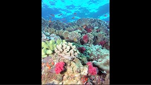 Ecologia da conservação e da restauração