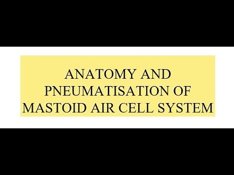 Anatomy of Mastoid and Its Pneumatization