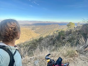 On the Arizona Trail, saguaros, coati and a midnight skunk reveal resilient biodiversity