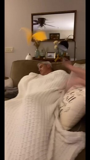 Steph Pappas on TikTok