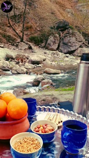 1 minute of River Relaxation • Calm Water Sounds for Stress Relief | Echo of Nature #shorts