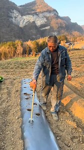 Film-Punch Planter Pro: Multi-Crop Transplanting Tool #AgricultureTools #FarmingInnovation #TransplantingTech #GardeningGadgets | Aamir Seeds