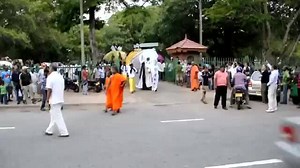 2.8K views · 52 reactions | Parade of slaves: Snatched from their...