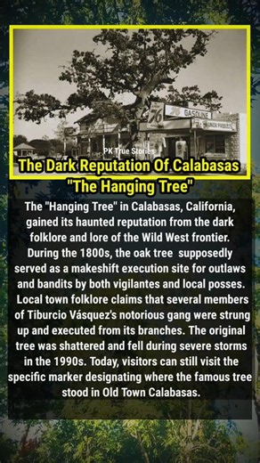 Calabasas California Infamous "Hanging Tree" #history #story #facts