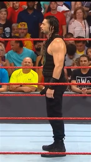 CM Punk's SHOCKING Betrayal REVEALED! 🤯 #wwe #cmpunk #romanreigns