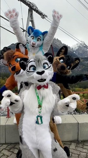 Lacy fam 🥰🦊 #fursuit #fursuiters #furries #fursuitfriday