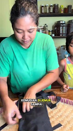 Panduan Budidaya Vanili Asli di Kebun