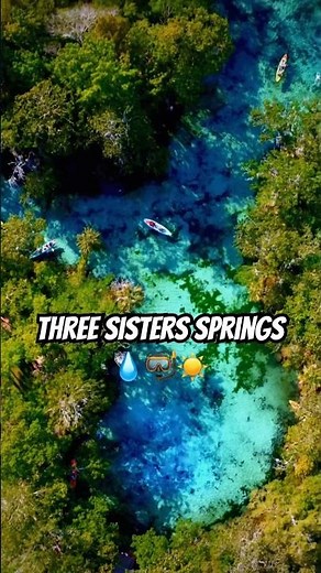 Best Natural Springs Found in Florida Three Sisters Springs ☀️🤿💧#FloridaSprings #Spring #Nature