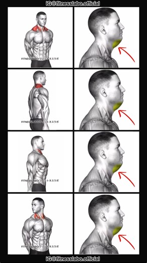 ✅ How to Fix Double Chin Fat ① Side Neck Stretch ② Prone Cervical Extension ③ Thin Tuck ④ Rotating Neck Stretch 3 sets 15 reps #fitness #gym #exercise #workout #workoutroutine #exercisetips #fitnesstips #bodybuilding #jawline