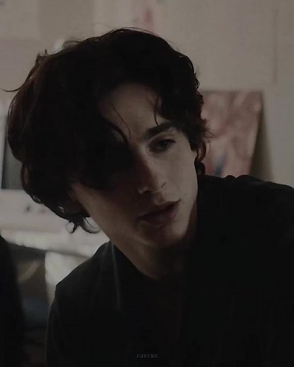 Understanding Kyle's Role in Lady Bird | Timothee Chalamet Scandal Unveiled