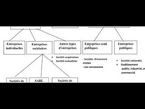 la classifications des entreprises (2)