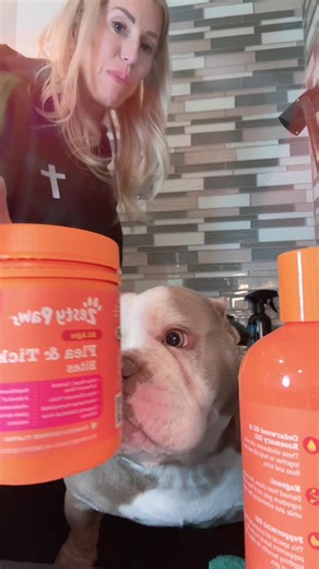 Fleas and Ticks This Year: How Bad Is the Infestation?