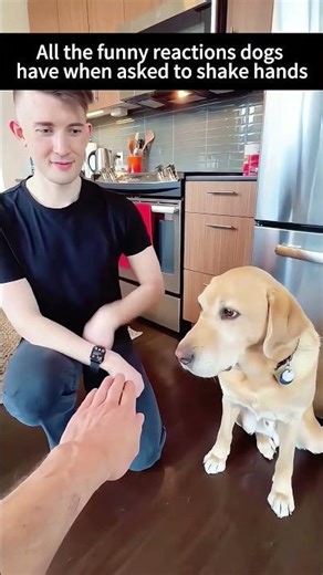 Which reaction do you think is the best #drone #funny #stopflying #winging #flyclub #flyride