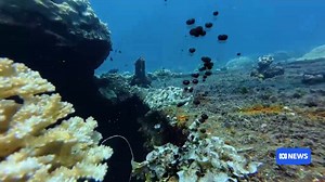 WWII shipwrecks a 'ticking time bomb' for Federated States of Micronesia
