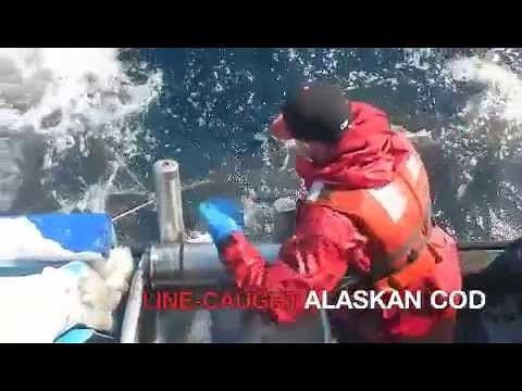 Line-caught Alaskan Cod