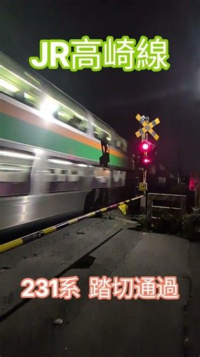 JR高崎線231系 踏切通過#高崎線 #231系#jr東日本 #鉄道 #踏切
