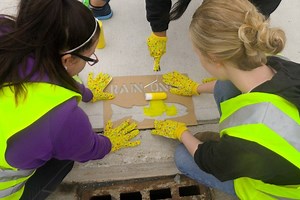 Yellow fish set to invade Callander