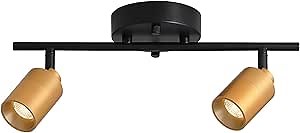 Shura Black & Brass 2-Light Track Light with Adjustable Heads, Integrated LED Bulbs, 15 in. Track Lighting Kit Ceiling Light, 3000k, 1120 Lumens