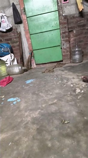 powre of video