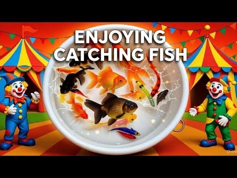 Enjoying Catching Fish, I Caught Wild Fish in a Backyard Mini Pond (So Satisfying!)