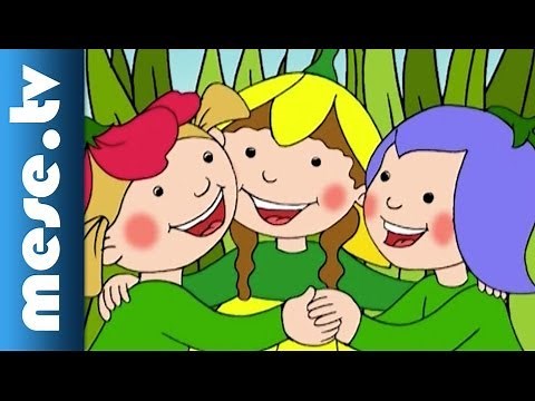 Gryllus Vilmos: Maszkabál - Virágcsokor (rajzfilm, dal, mese gyerekeknek) | MESE TV