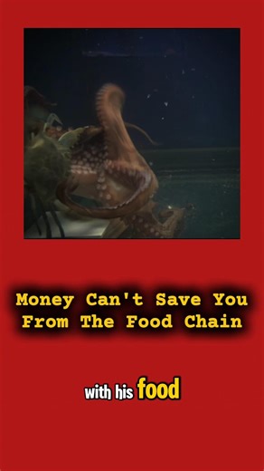 Why Squidward Is Actually A Predator #spongebob #darktheory