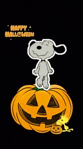 #snoopy #halloween #halloweenfun #halloween2024 | Diamond Bar Kennel
