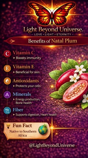 “If this fruit grows near you… 🌿📸 Drop a photo in the comments 👇” #Natalplum #viral #peace #love