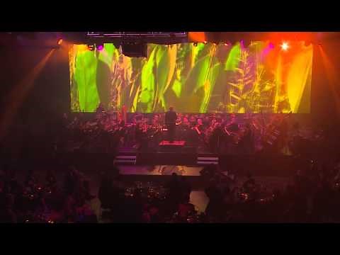 "Flight of the Bumblebee" - Symphony in HD: Live at Full Sail University