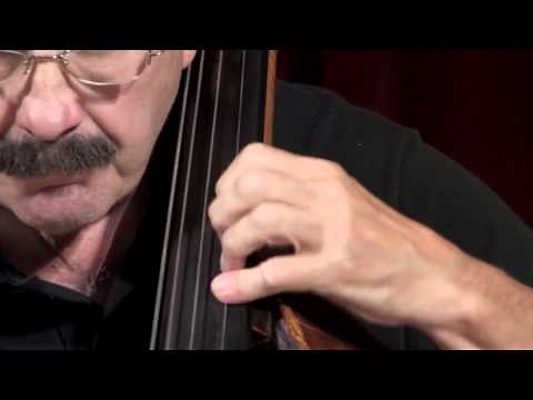 Benjamin Britten Young Persons Guide to the Orchestra Double Bass variation