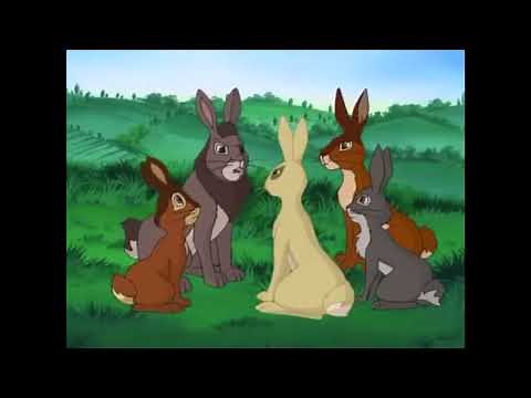Watership Down - Prisoner of Efrafa (S2E1)