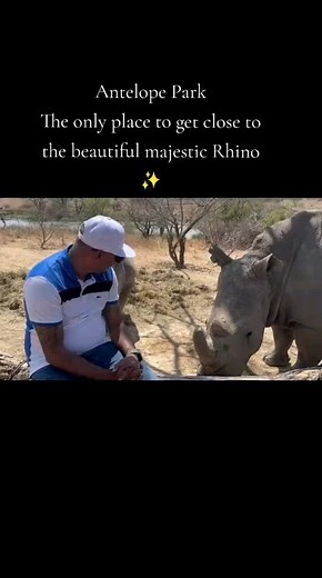 15 reactions | Conservation matters! Wildlife Matters! Experience, make memories, and contribute to save the Rhino! Our Mission, Our Goal! #zimbabwe #antelopepark #Rhino #zimthings #wildlife #safarilodge | Antelope Park | Facebook