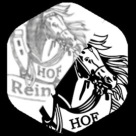 Online Paper to cad conversion service | Vectorizeimages.com