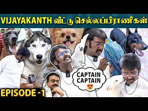 "Captain..Captain-ன்னு பேசிய Vijayakanth வீட்டுக்கிளி 😱" | Vijaya Prabhakaran's Pets Interview