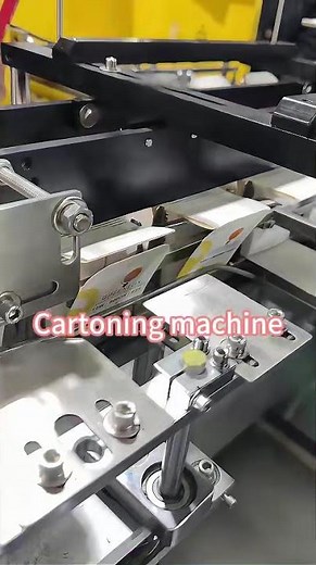 Automatic Cartoning Machine | Product Carton Packaging Solution