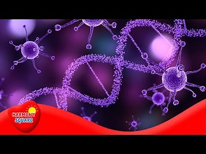 Three Types of Genetic Diseases - More Science on the Learning Videos Channel