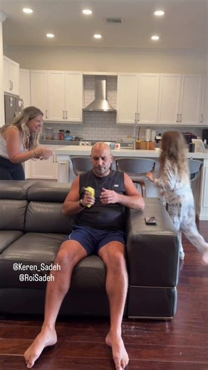 He really thought he was safe on the couch 💀 #dadlife #funny