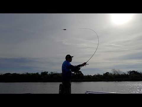 Techniques and Tutorials - Tips for Fishing with Lures - Baitcasting by Pablo Gonzalez