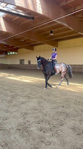 198K views · 2.5K reactions | Jessica hat sich heute mal mit Great Gatsby beim Training filmen lassen und das, was sie da im Sattel tut, direkt kommentiert. Gefallen euch so spontane Trainingseinblicke?Welche Themen interessieren euch besonders? Do you like spontaneous training insights like these? Which topics are you particularly interested in? Maybe we can figure out a way to do this in English as well 樂 | Aubenhausen Club | Facebook