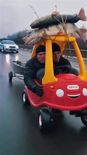 tirex (@tirexnews)’s videos with оригинальный звук - tirex