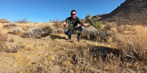 Cruisin' Across America: Joshua Tree National Park  | Latest Weather Clips | FOX Weather