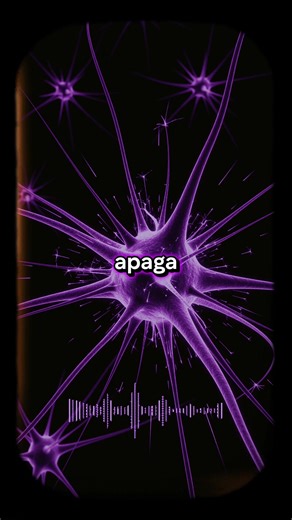 485K views · 25K reactions | Así DESTRUYEN las DROGAS tu cerebro 易 #Psicología #Cerebro #Adicción #Oscuro #Curiosidades #Mente #ParaTi #FYP | Oculvm | Facebook