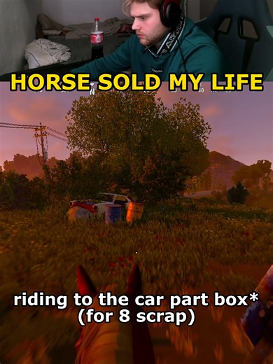 The Horse's Journey to Change His Host in Rust