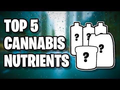 Top 5 Cannabis Grow Products