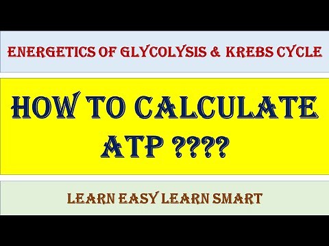Energetics of Glycolysis and Krebs Cycle | How to calculate ATP ?