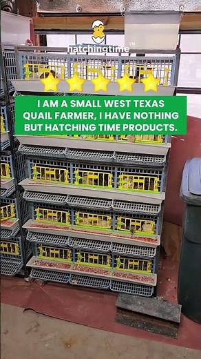 West Texas Quail Farmer Quail Cage Review