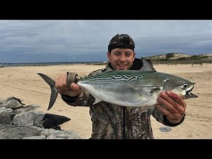 False Albacore Fishing: Long Island- SURF TUNA