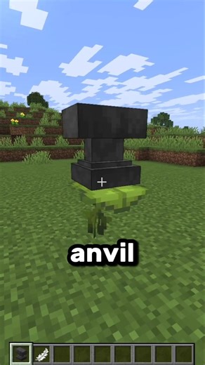 Things that doesn't make sense in minecraft 🫪