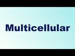 Multicellular Definition and Examples