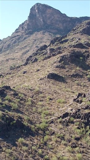 Located 35 minutes from downtown Tucson, Picacho Peak State Park is a great place to go for a hike. In addition to the trails, they also have tent and RV camping, showers, ramadas, picnic tables, grills, and a visitor center with a gift shop.